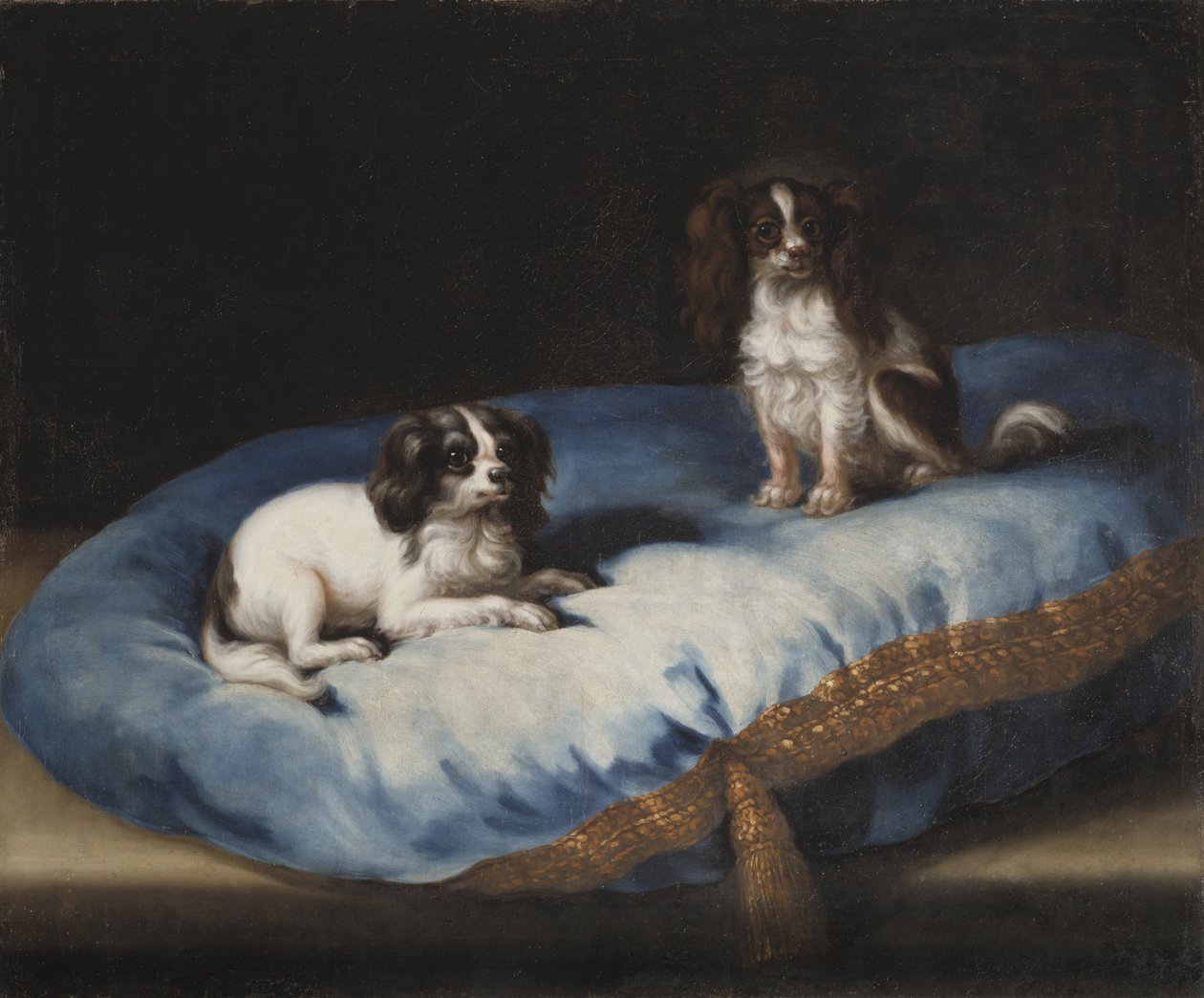 Due cani di piccola taglia da David Klöcker Ehrenstrahl