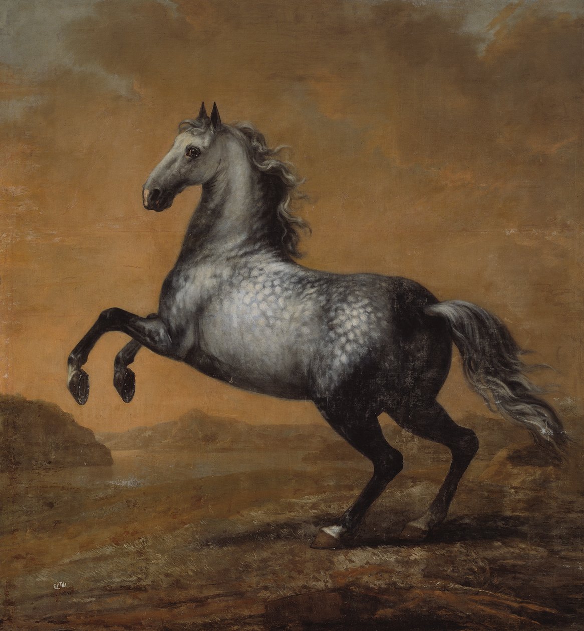 Il piccolo inglese, cavallo di re Carlo XI (1655-97) da David Klöcker Ehrenstrahl