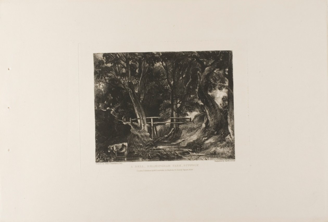 Una Valle, Parco di Helmingham, Suffolk da David Lucas