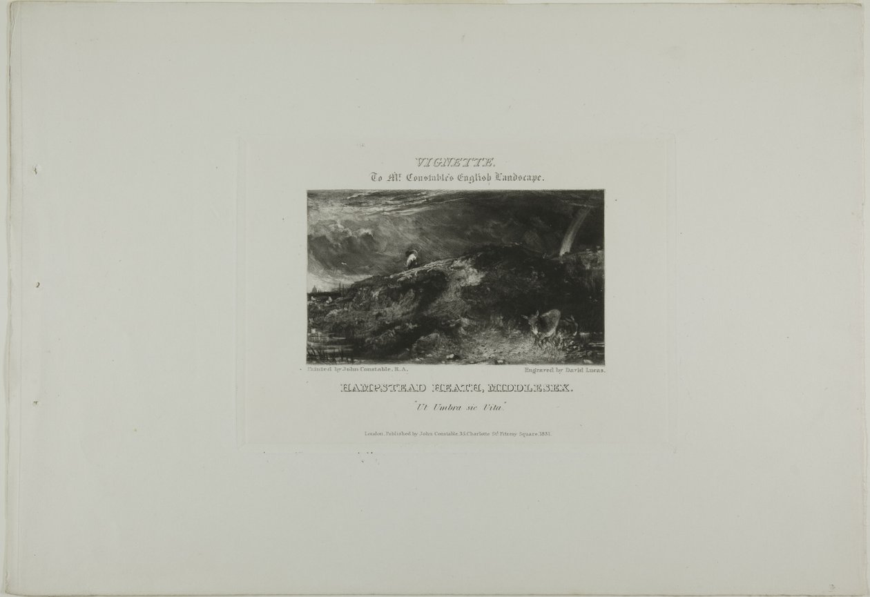 Vignetta del Paesaggio inglese di Mr. Constable. Hampstead Heath Middlesex. Ut Umbra sic Vita da David Lucas