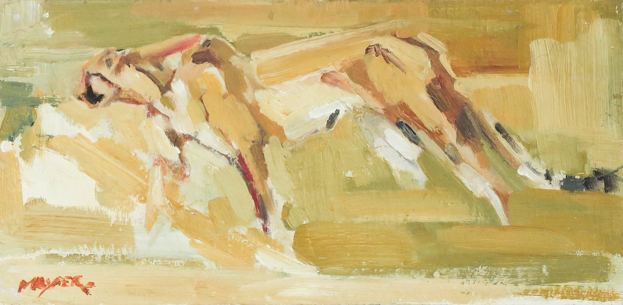 Ghepardo, 2015 da David Mayer