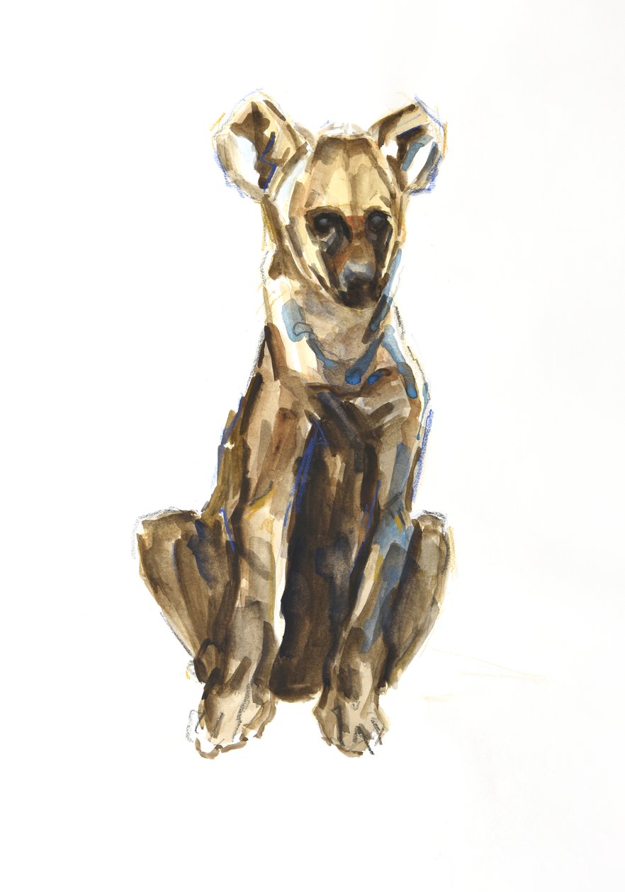 Cucciolo di Iena, 2020 da David Mayer