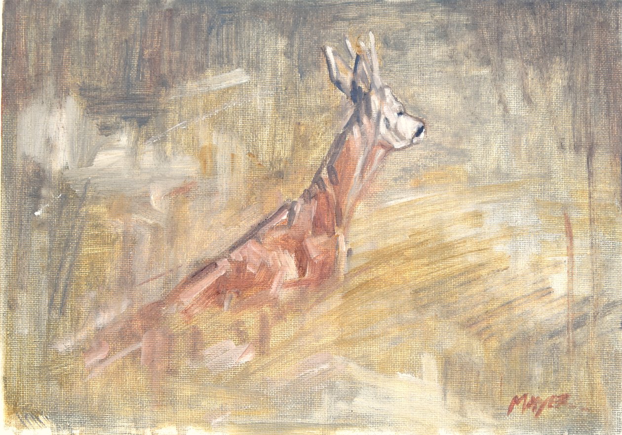 Capriolo, 2023 da David Mayer