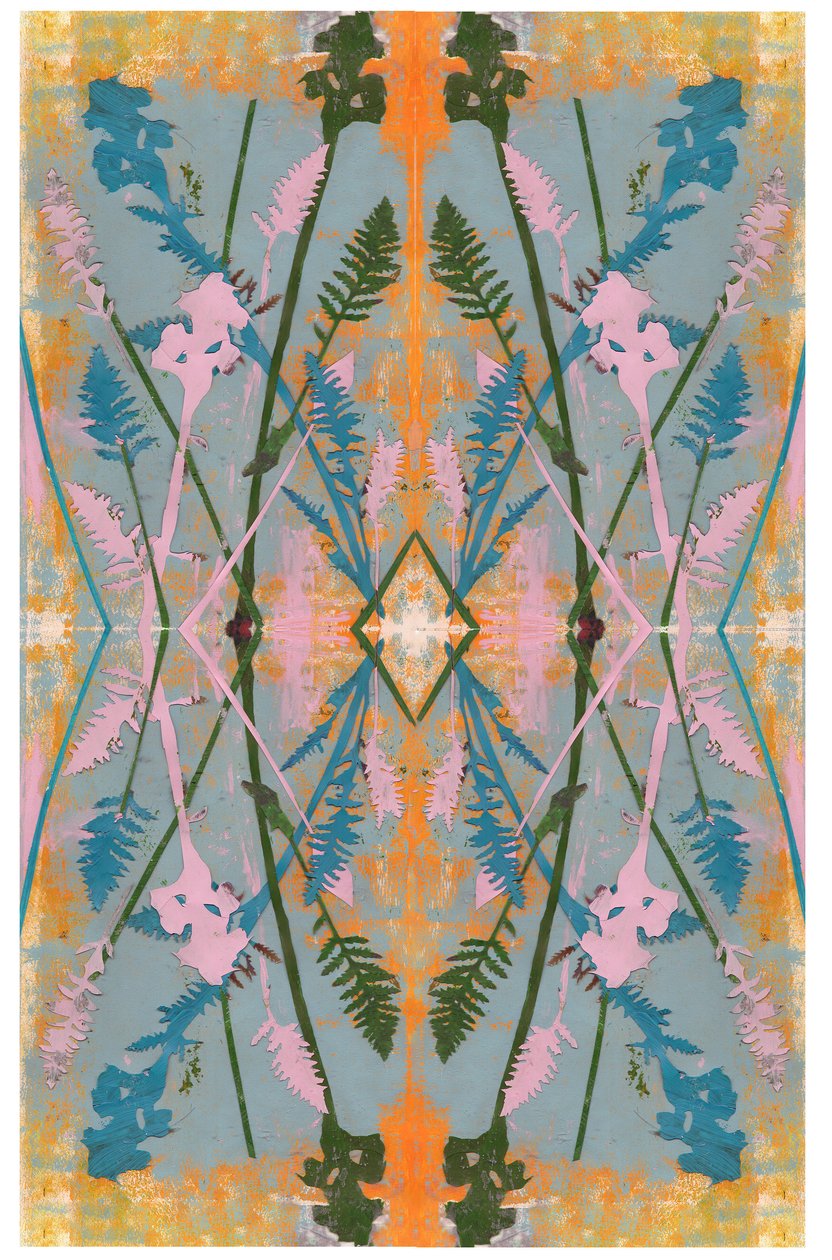 Collage botanico n. 2, 2017 da David McConochie