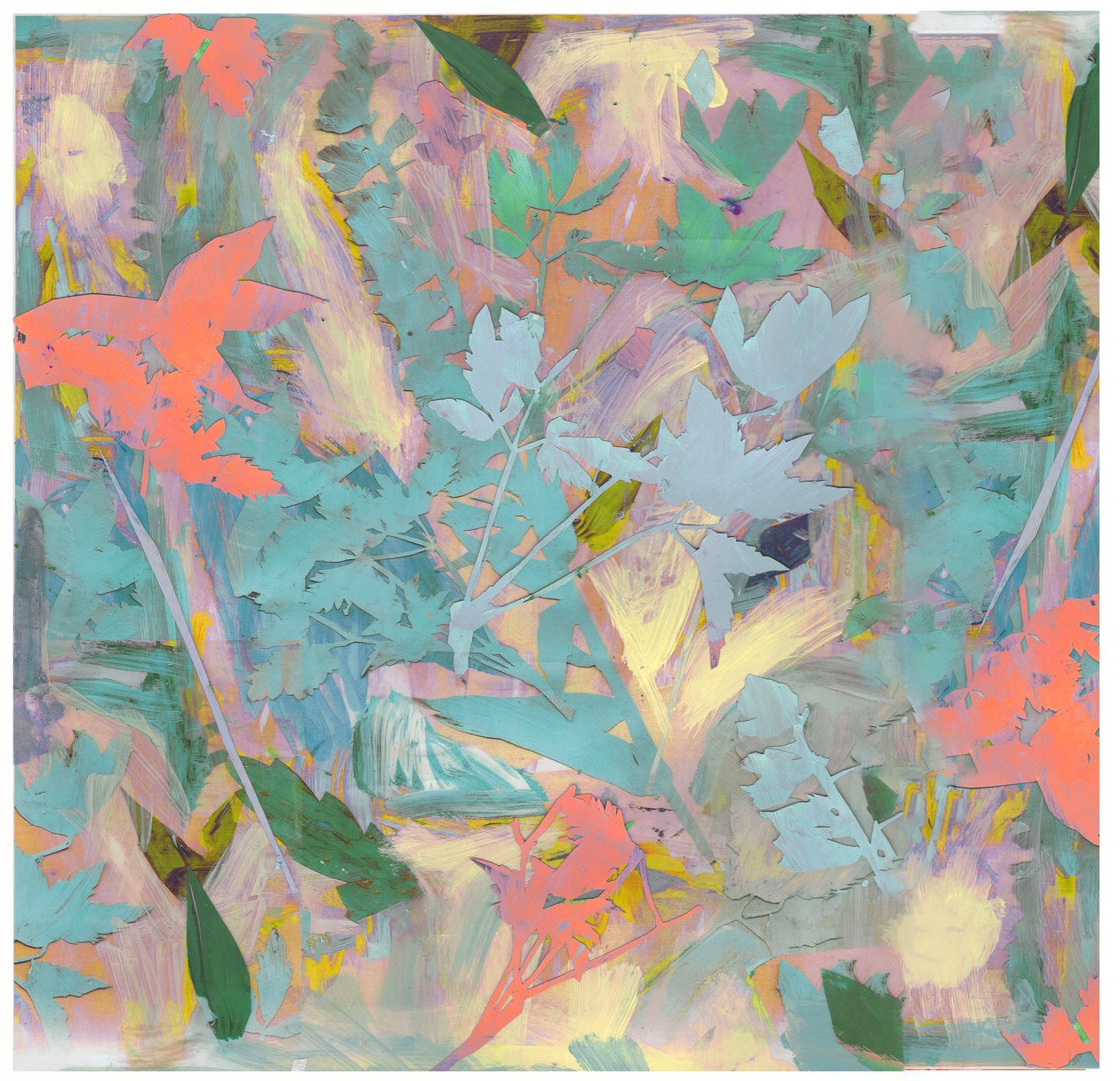 Collage botanico n. 3, 2017 da David McConochie