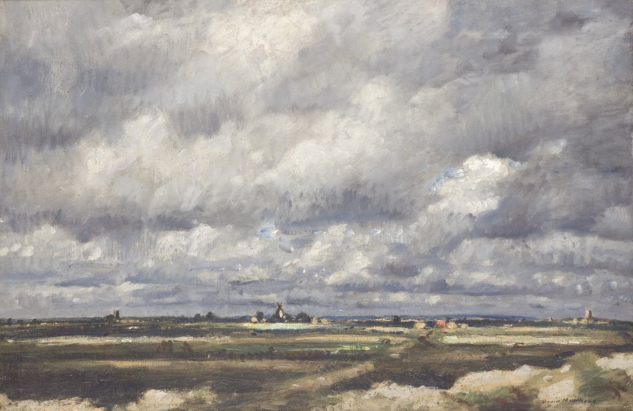Tempesta su un ampio paese (Olio su tela) da David Muirhead