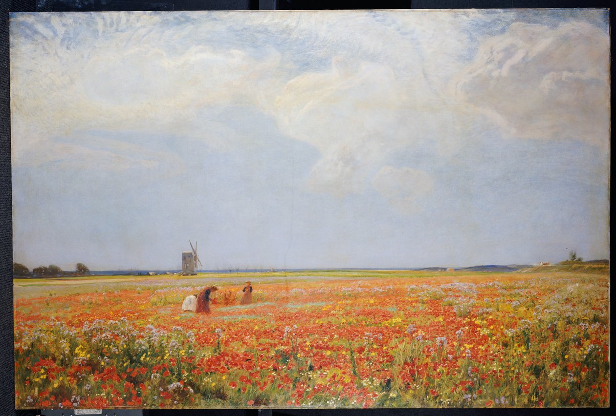 I raccoglitori di fiori da David Murray