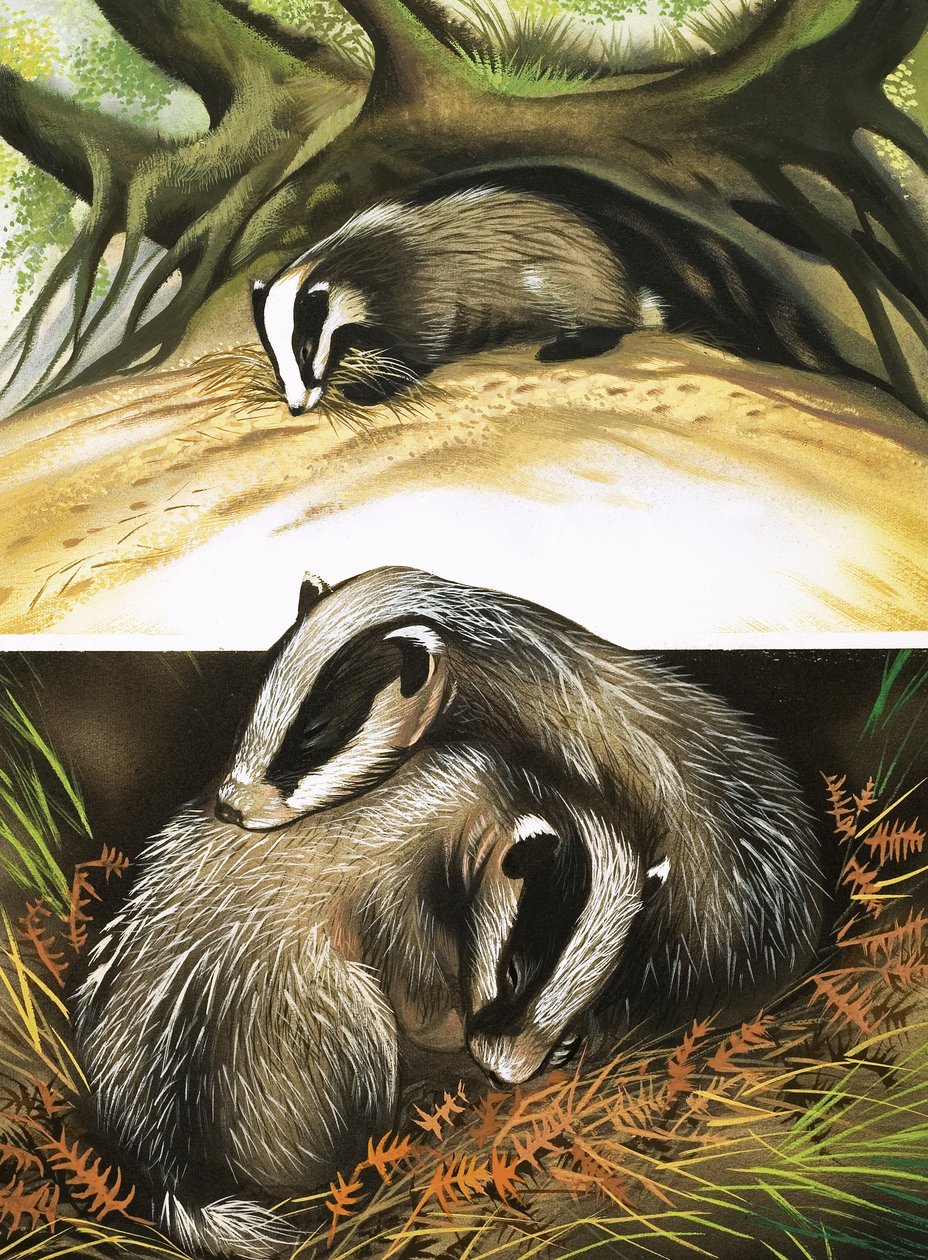 Il signor e la signora Badger a casa da David Pratt