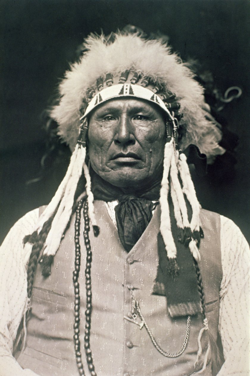 Gamba di legno, guerriero dei Cheyenne del Nord che combatté nella battaglia di Little Bighorn nel 1876 da DeLancey W. Gill