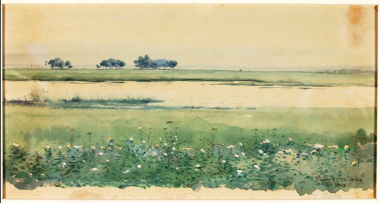 (Paesaggio con paludi) da De Lancey Gill