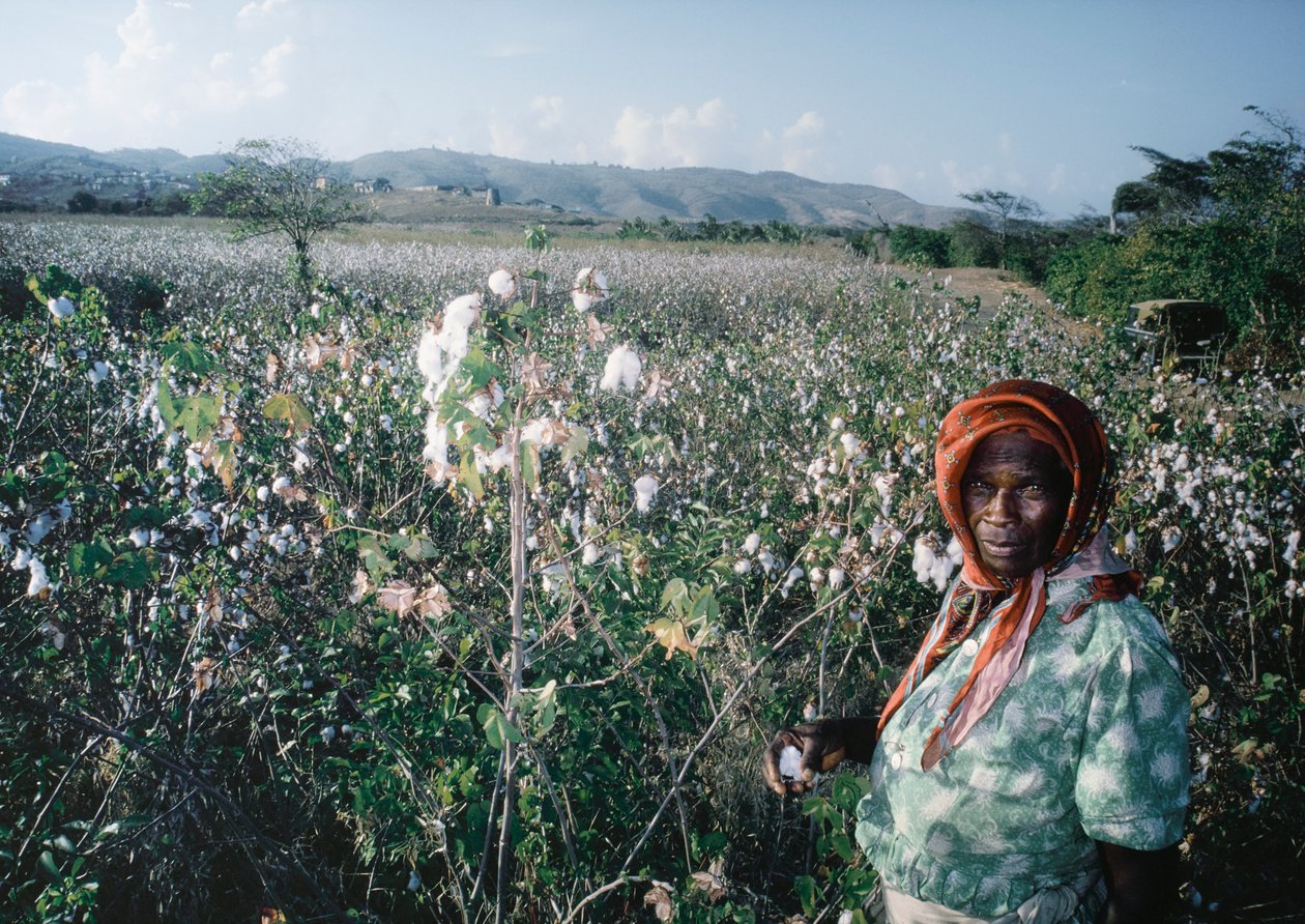 Donna in piedi nel campo di Sea Island, Grenadine da Dean Conger