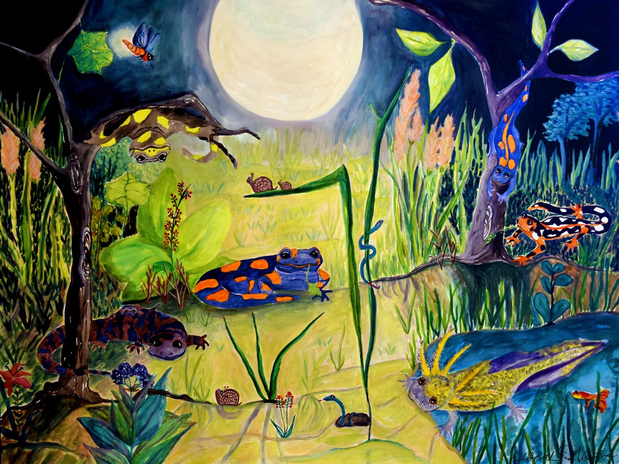 Svegliati mentre dormi, 2015 (acquerello) da Deborah Eve Alastra