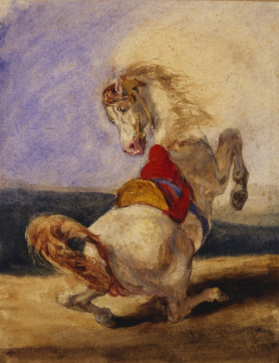 Cavallo impennato da Delacroix
