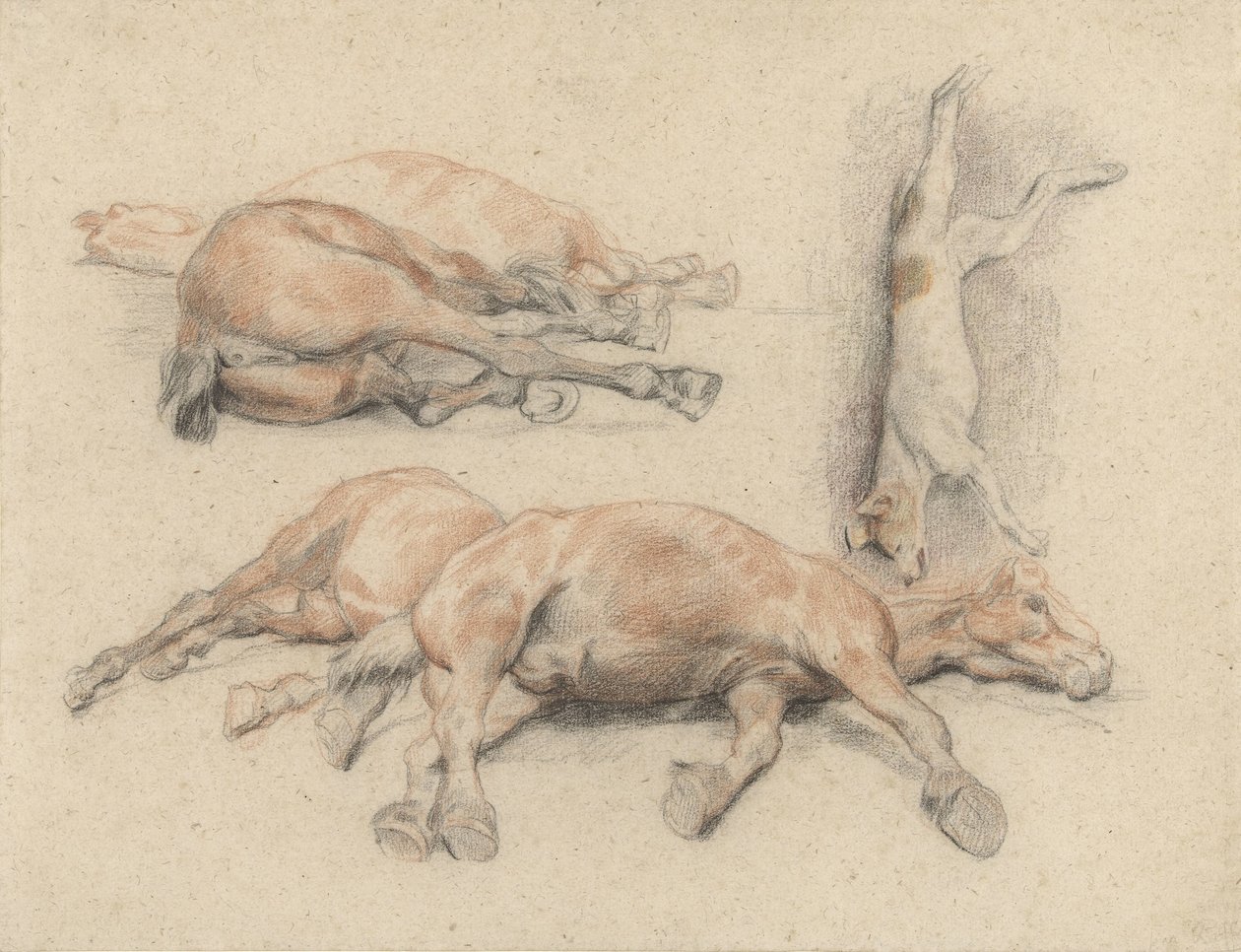Studi di una carcassa di cavallo e di un cane impiccato da Denis Auguste Marie Raffet