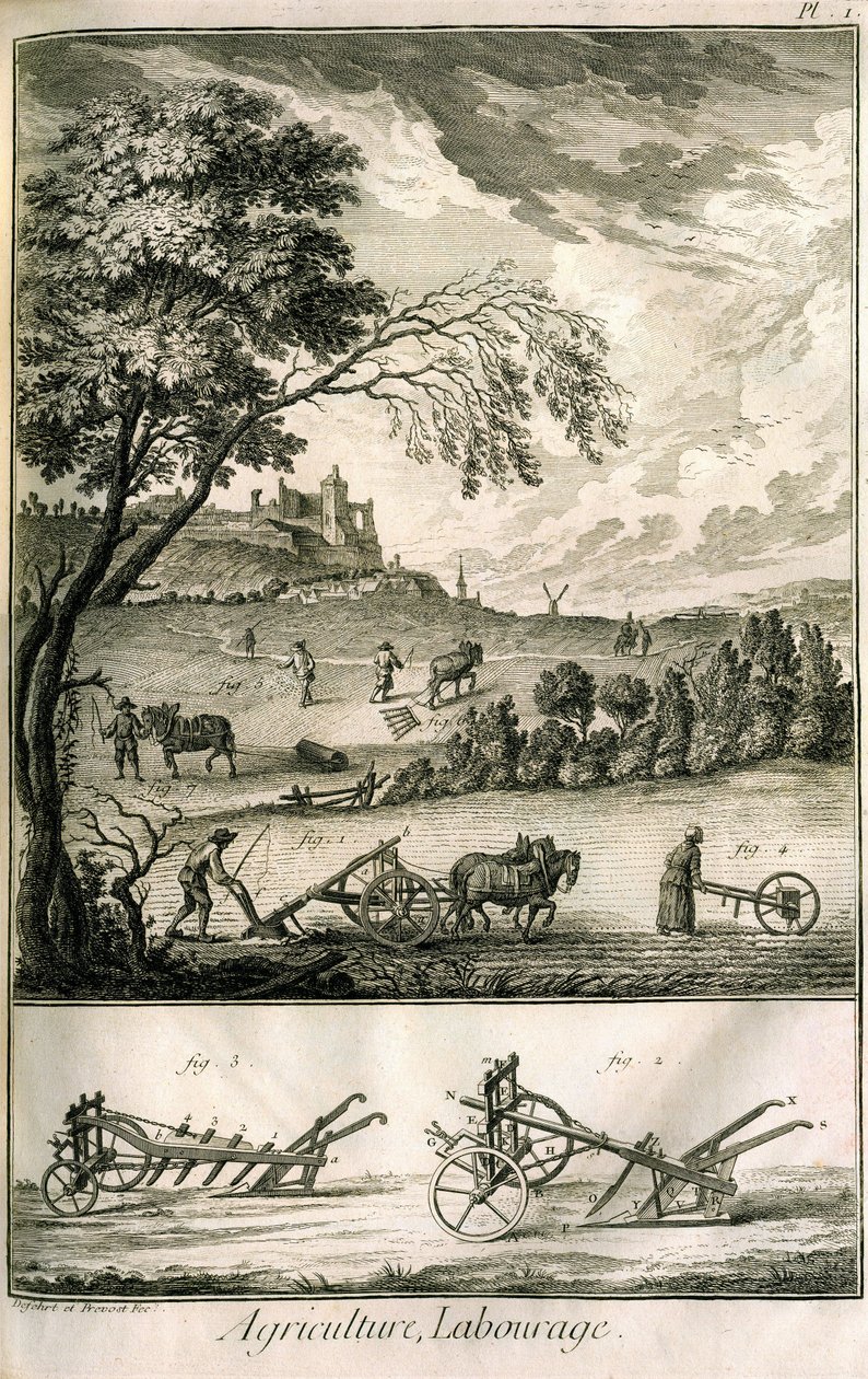 Lavoro nei campi - Agricoltura, semina, aratura. Vari modelli di rulli e aratri: Tavola di un volume di illustrazioni dall