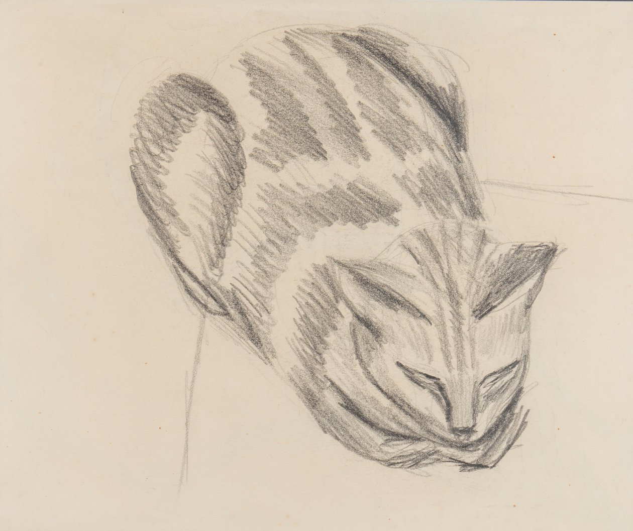 Gatto che dorme da Denton Welch