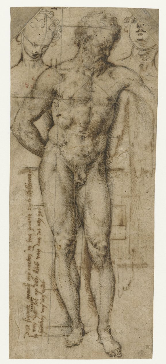Studio di un Uomo Nudo (Ercole?) e Due Teste di Donne da Denys Calvaert