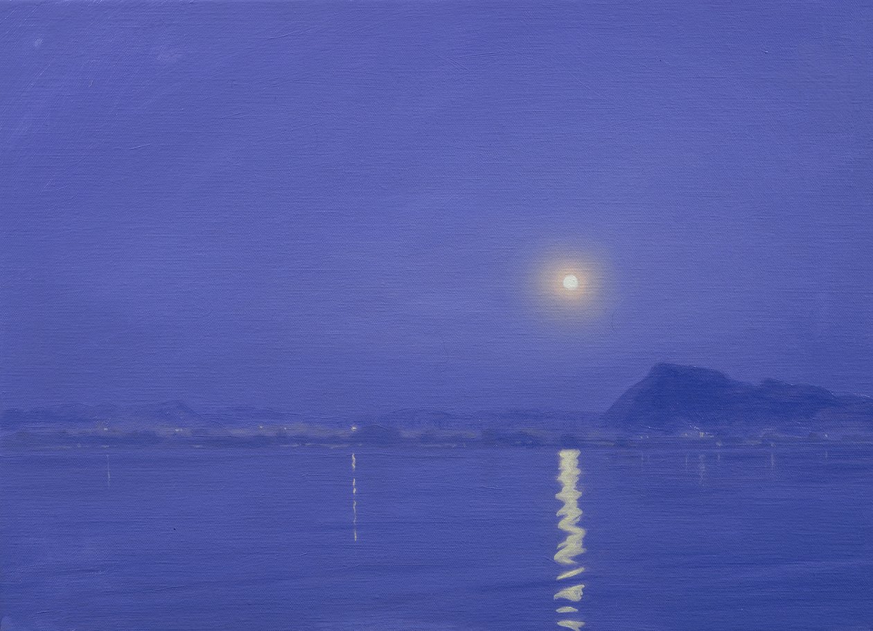 Chiaro di luna su Udaipur da Derek Hare