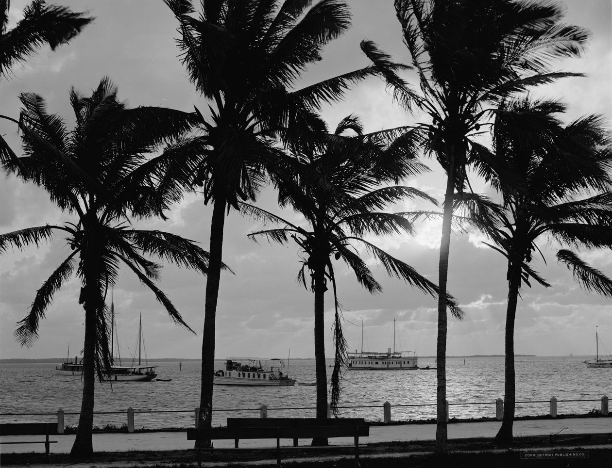 Tramonto, Biscayne Bay, Miami, Florida, c.1910-20 da Detroit Publishing Co.