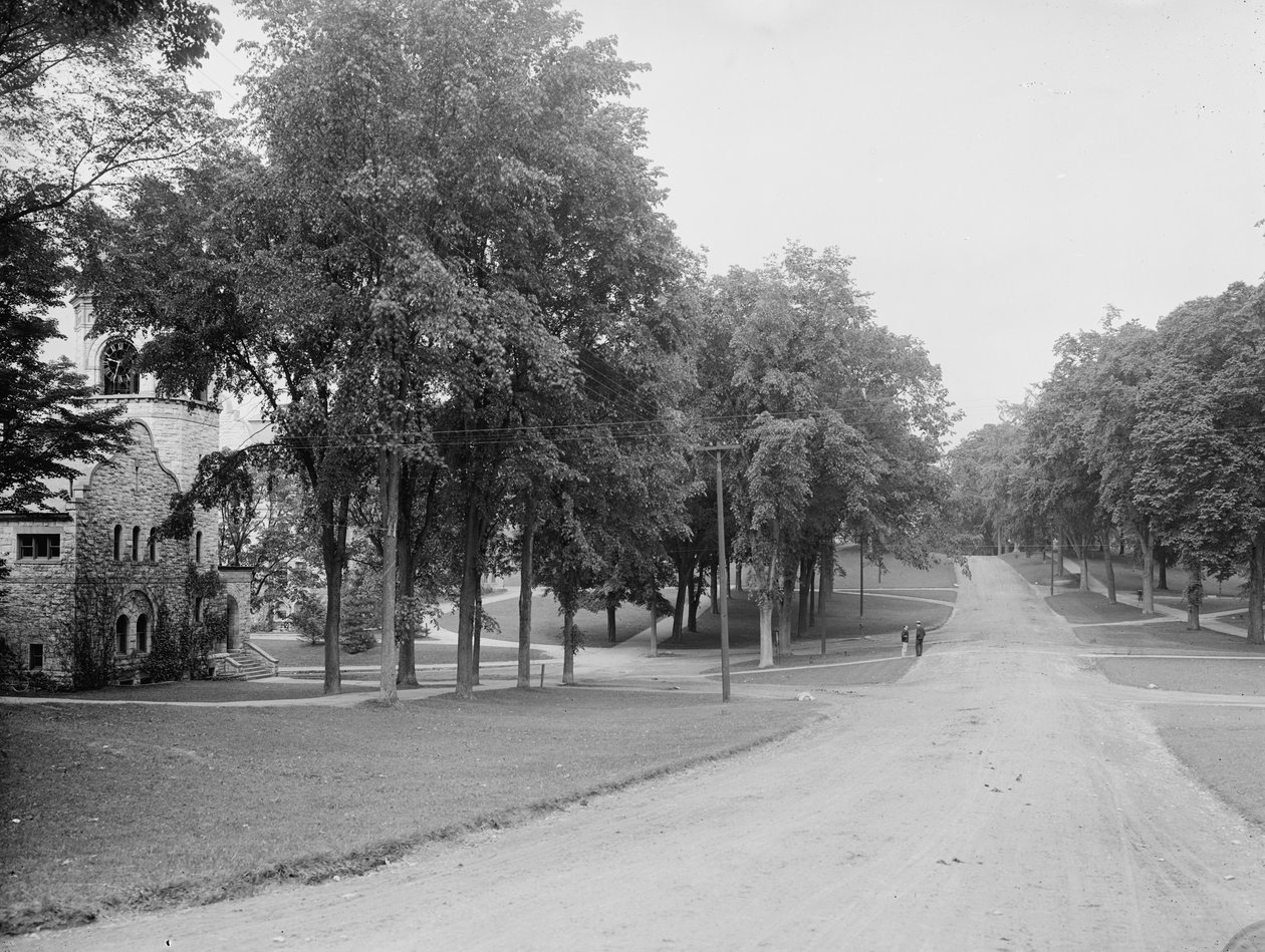 Il Campus, Williams College, Williamstown, Massachusetts, c.1904 da Detroit Publishing Co.