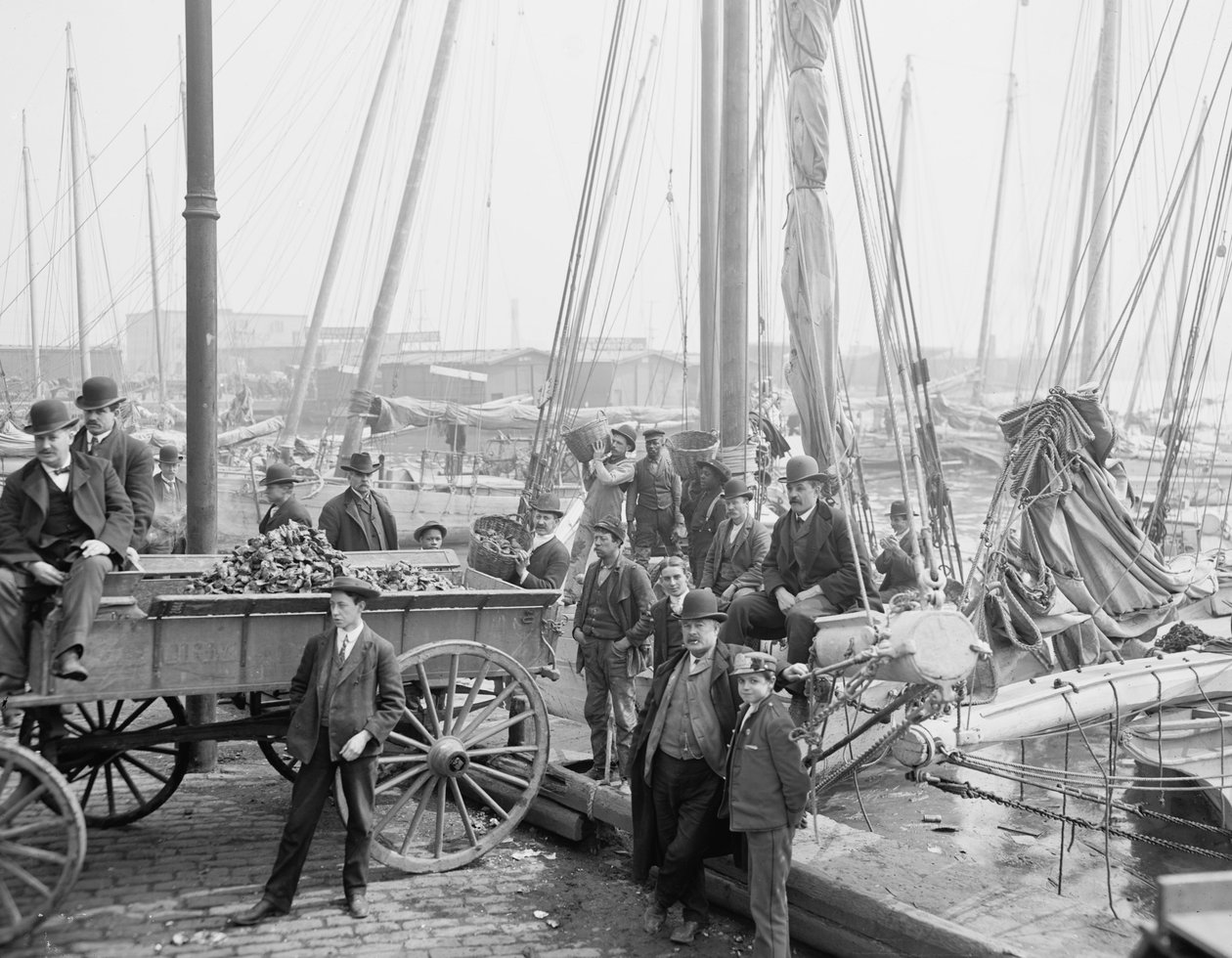 Scarico delle barche di ostriche, Baltimora, Maryland, 1905 da Detroit Publishing Co.