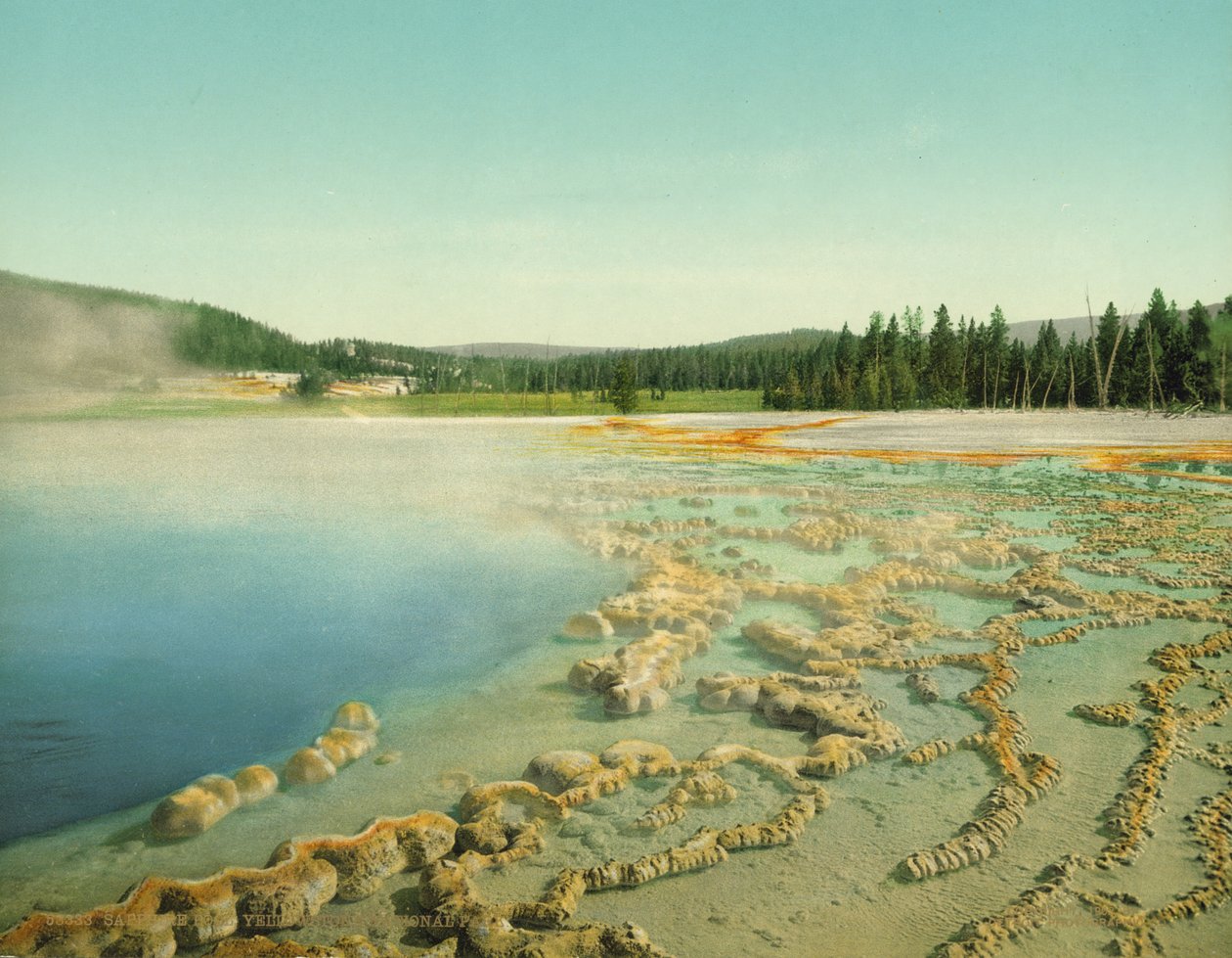 Piscina di Zaffiro, Parco Nazionale di Yellowstone, c.1902 da Detroit Photographic Co.