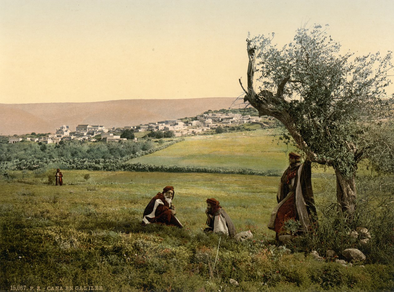 Veduta generale, Cana di Galilea, Terra Santa, 1890-1900 circa (stampa fotocromatica) da Detroit Publishing Co.