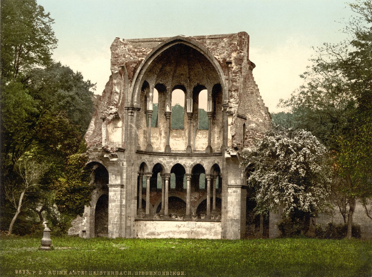Rovine dell