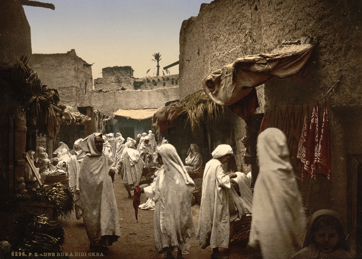 Strada algerina a Sidi Okba, c.1899 da Detroit Publishing Co.