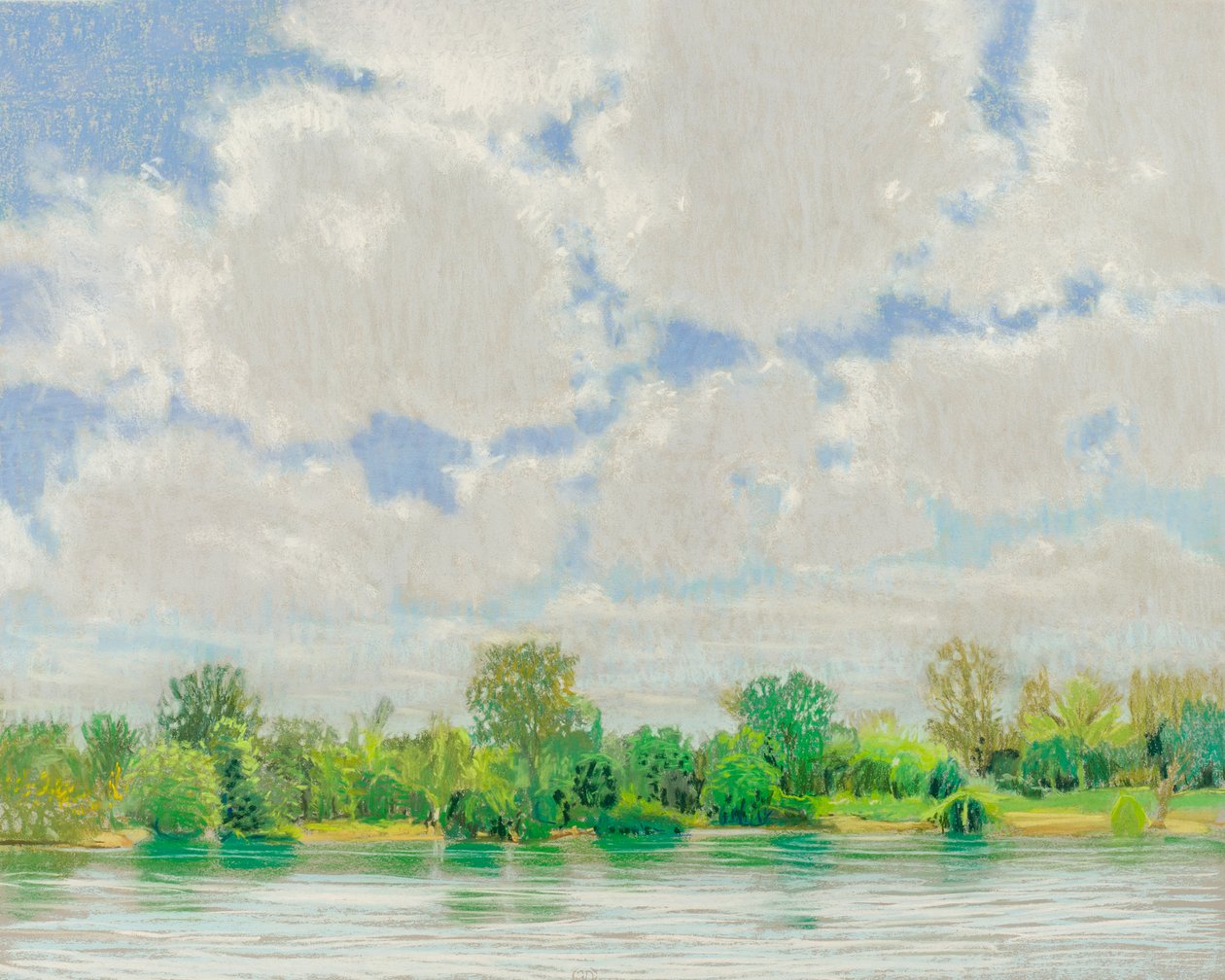 Vista del fiume americano, 2017 da Diana Jahns