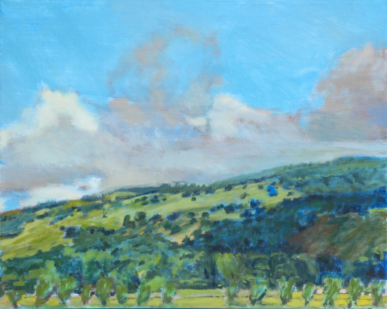 Colline della California, 2006 da Diana Jahns