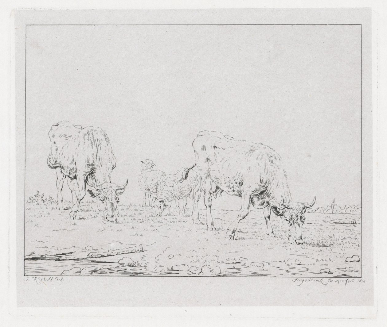 Mucche al pascolo da Diederik Jan Singendonck