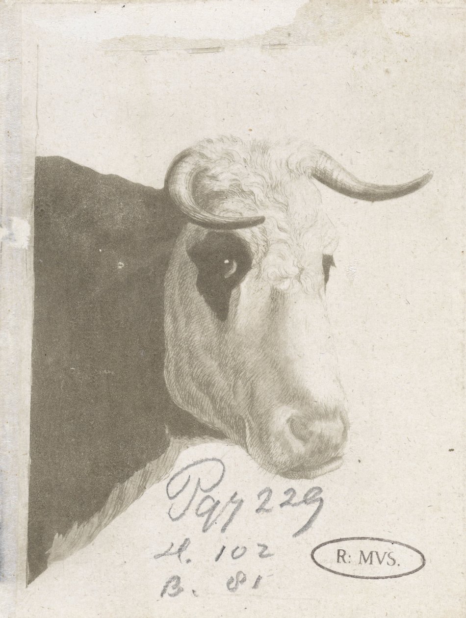 Koekop da Diederik Jan Singendonck