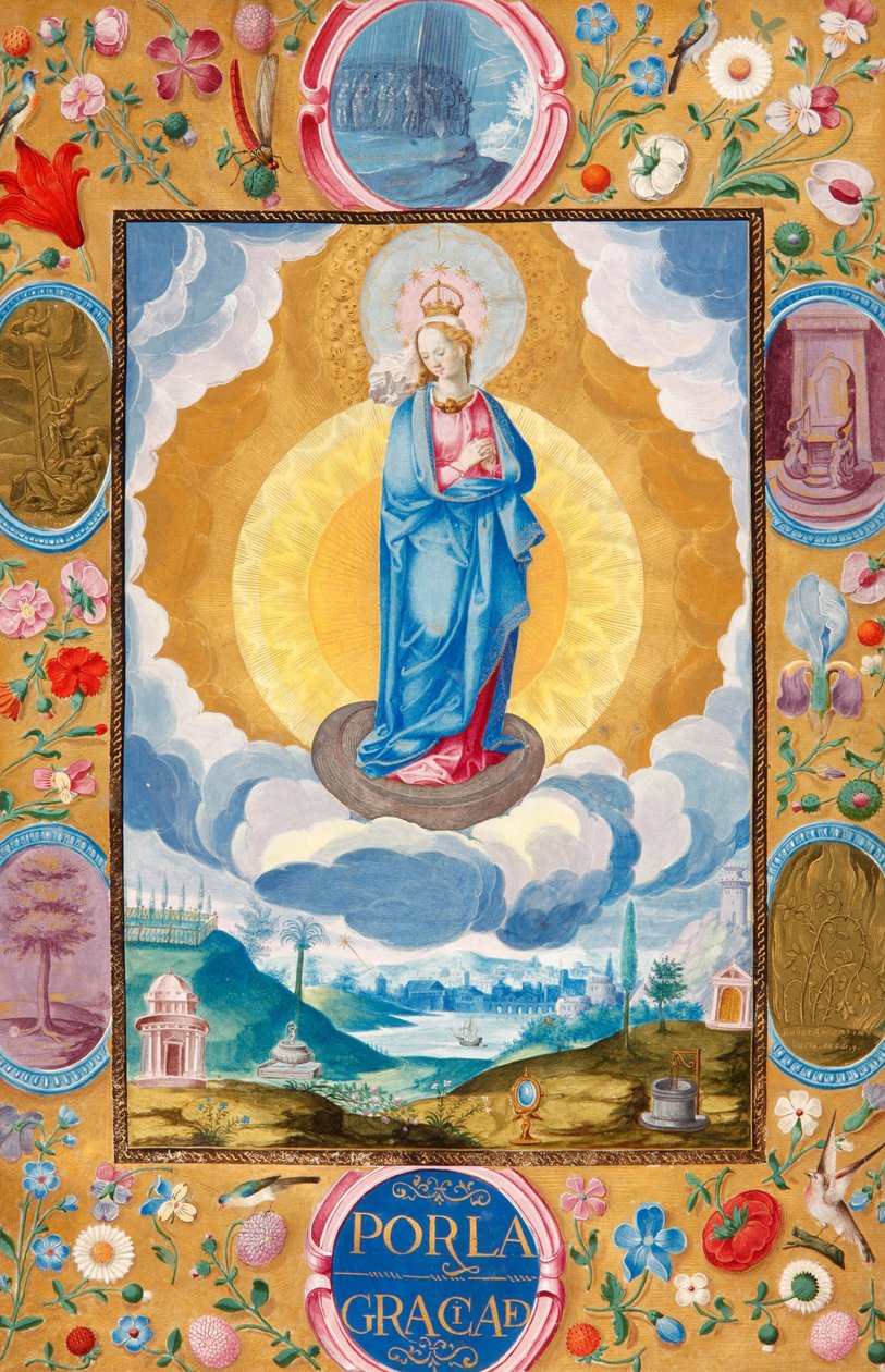 Immacolata Concezione nel documento esecutivo di cavalleria di Arias Pardo de Cela da Diego Gómez
