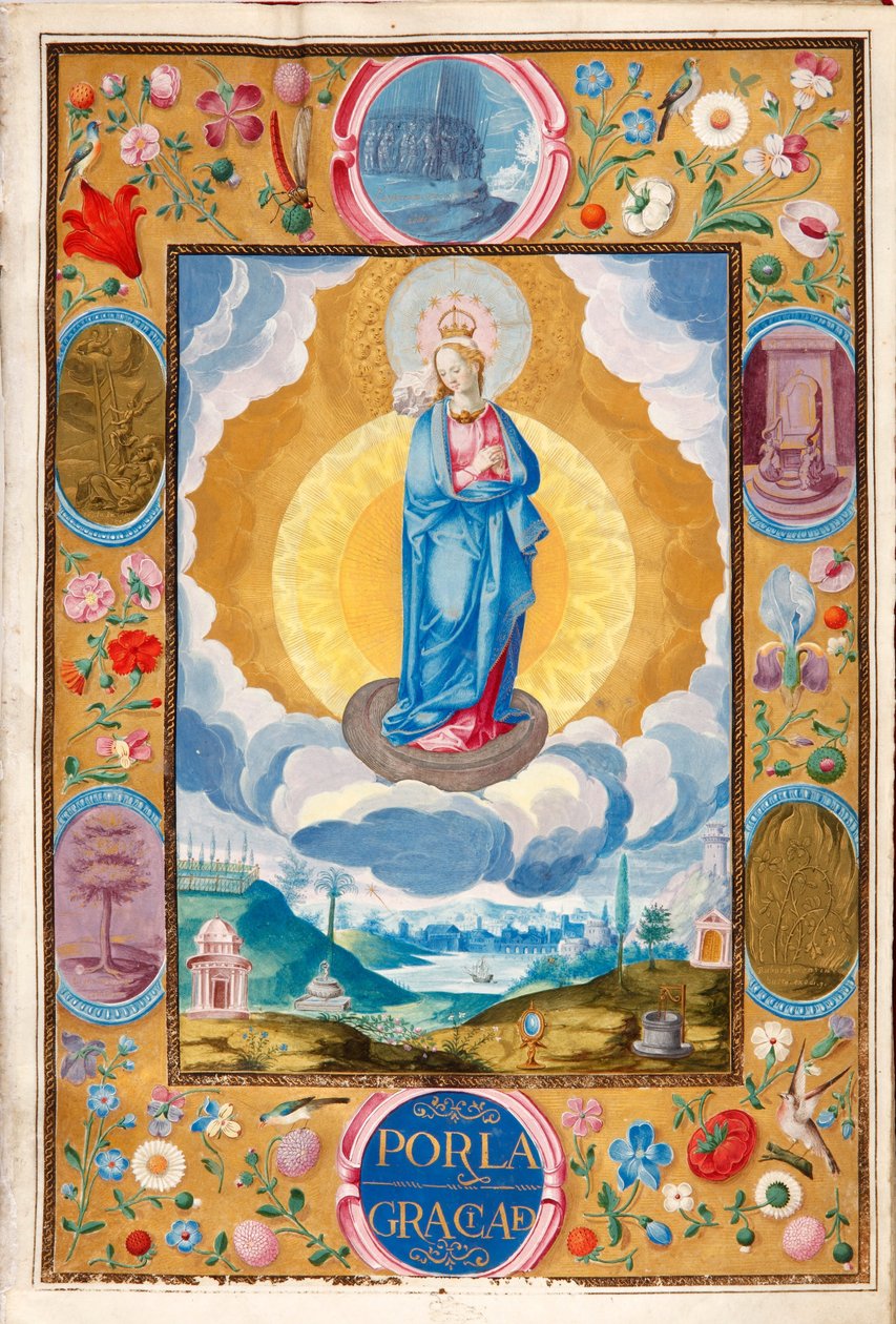 Immacolata Concezione nella Carta cavalleresca di Arias Pardo de Cela da Diego Gómez
