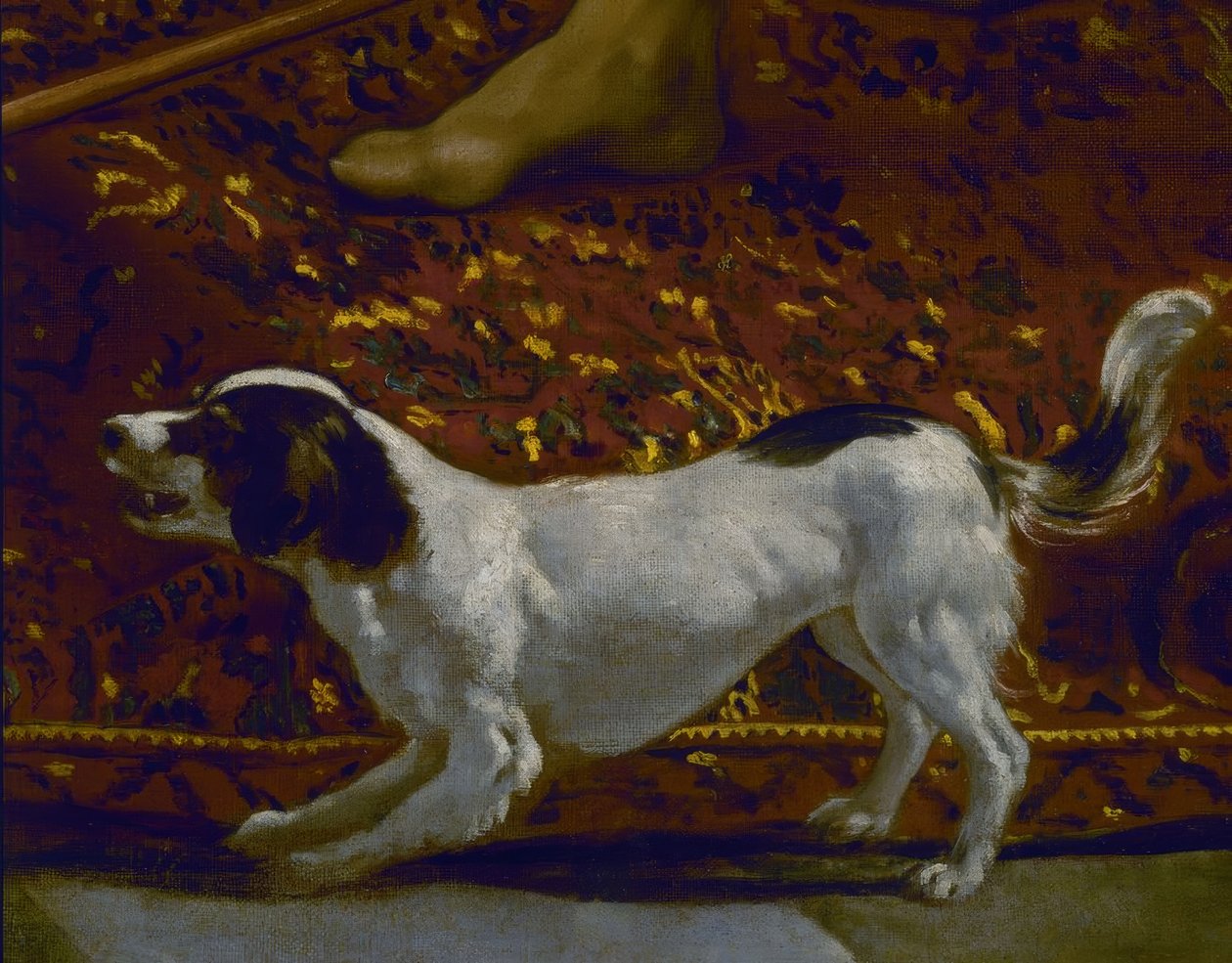 La tunica di Giuseppe – Dettaglio del cane – XVII secolo – Barocco spagnolo – Restaurato nel 1989 da Diego Velázquez