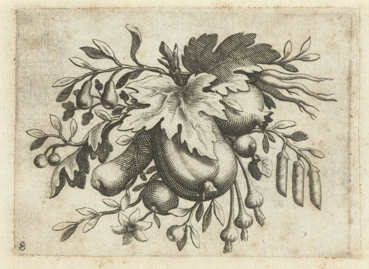 Festone di frutti da Dietrich Krüger (attributed to)