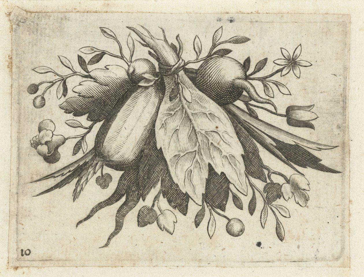 Festone di frutti da Dietrich Krüger (attributed to)