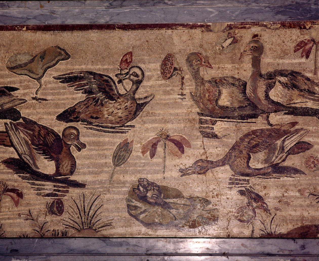 Mosaico romano da Pompei di anatre e rane in un giardino acquatico, I secolo da Dioscurides of Samos