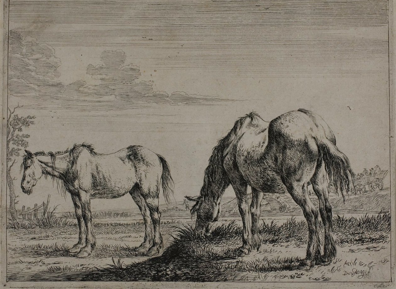Cavallo al pascolo, tavola tre dalla Serie di Cavalli da Dirck Stoop