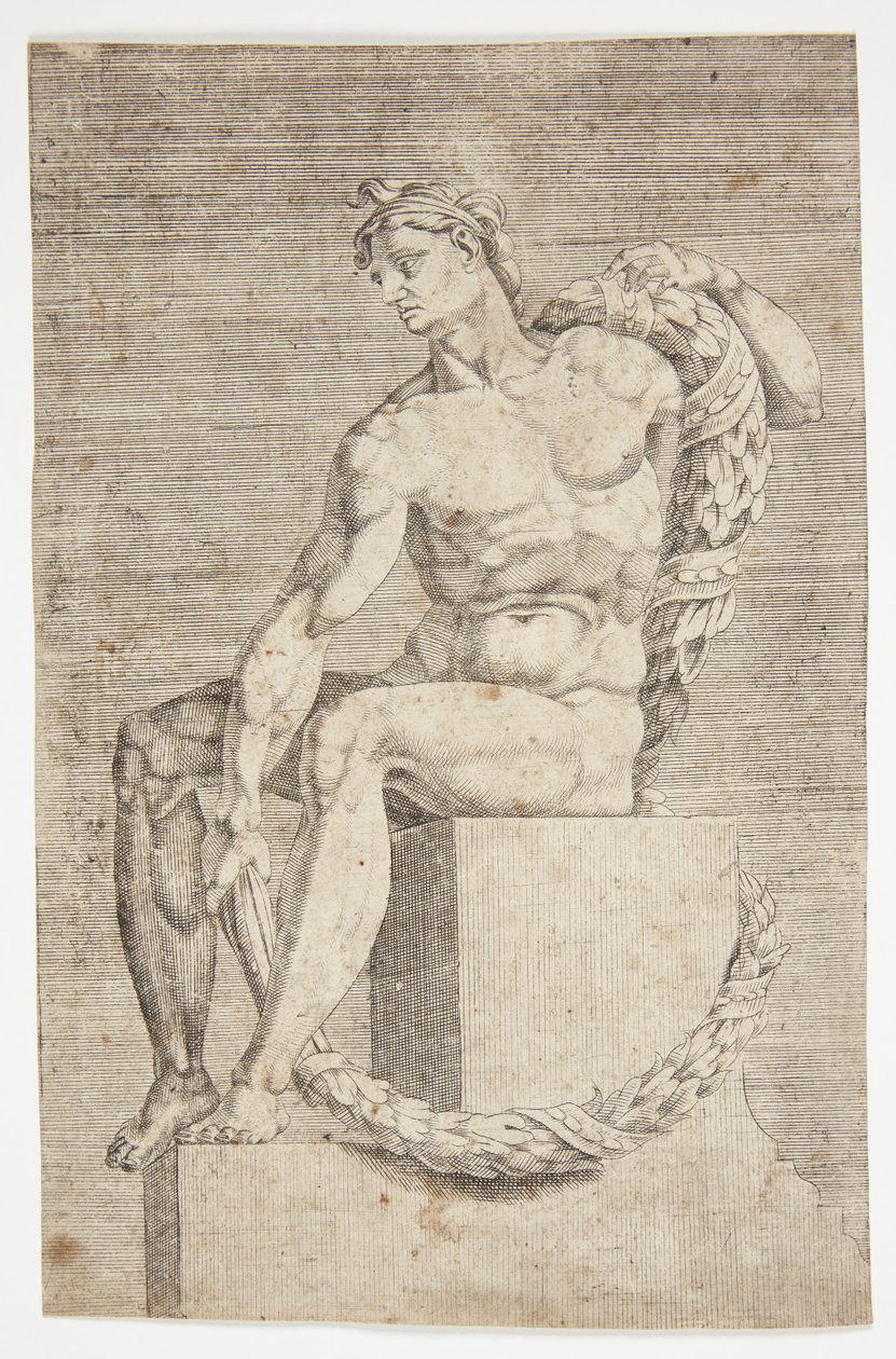 Nudo dalla Cappella Sistina da Dirck Volckertsz. Coornhert