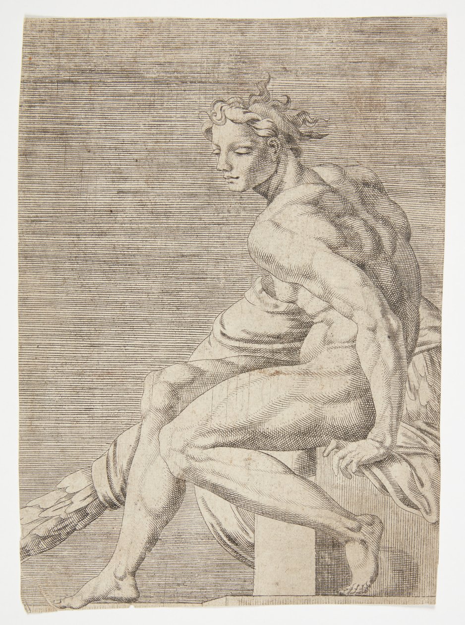 Nudo dalla Cappella Sistina da Dirck Volckertsz. Coornhert