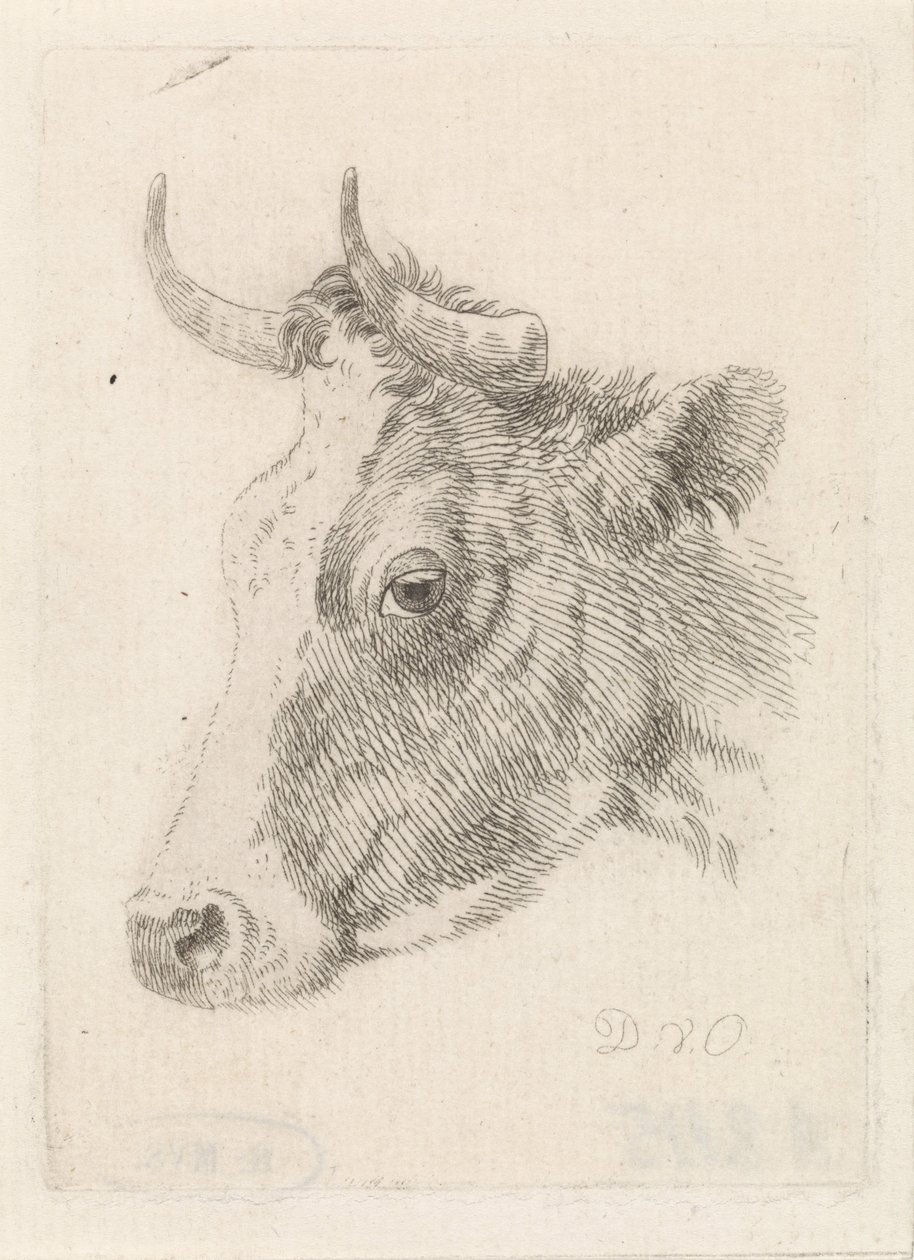 Testa di un toro, disegno di Dirk van Oosterhoudt da Dirk van Oosterhoudt  
