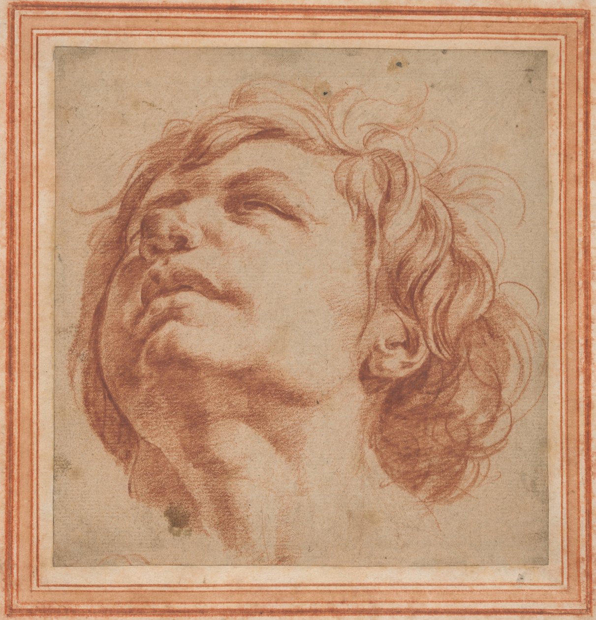 Studio della testa di un giovane che guarda verso l