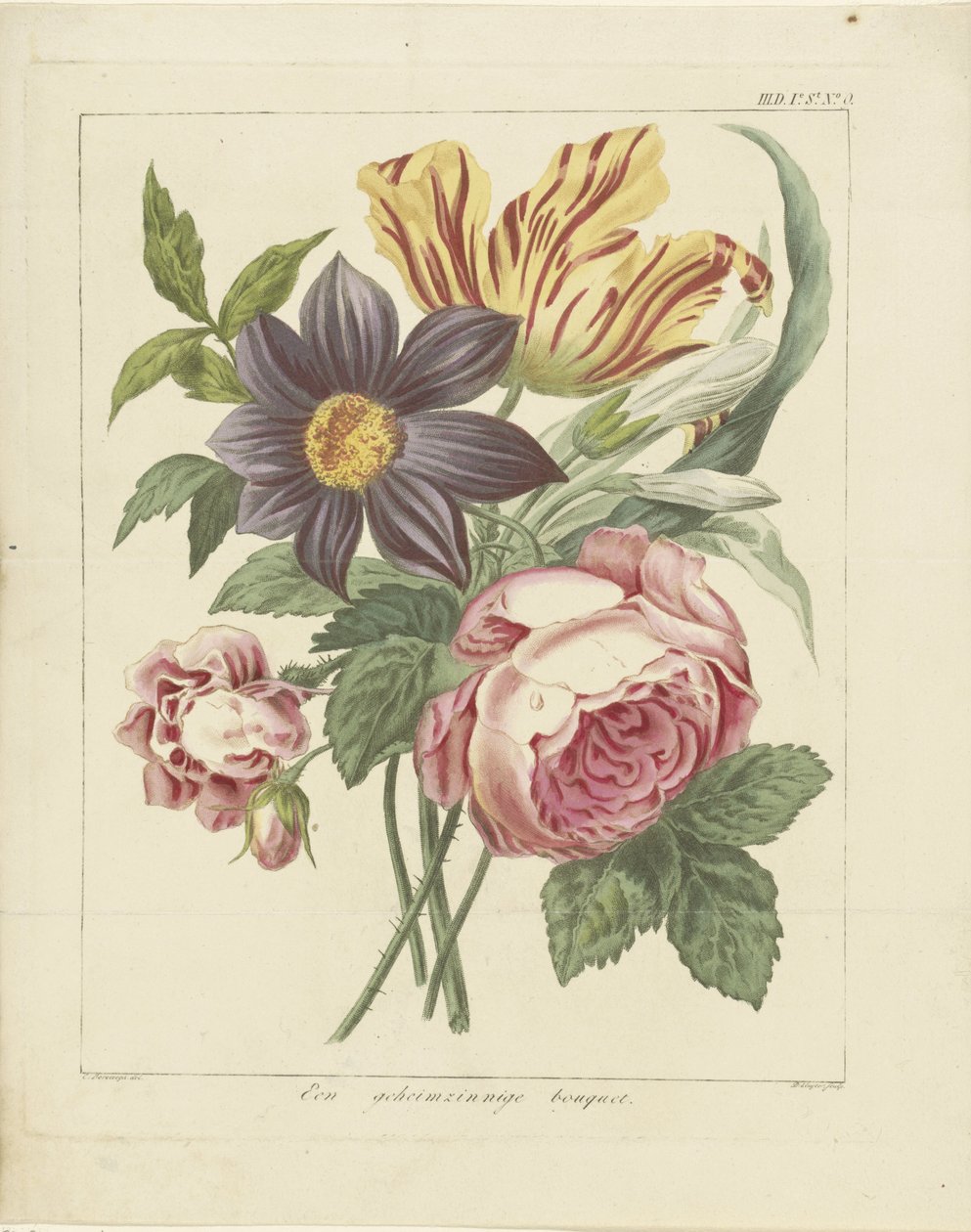 Bouquet di fiori con peonia e tulipano (Un misterioso bouquet) da Dirk Sluyter