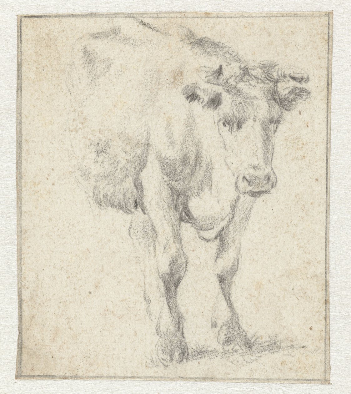 Studio di una mucca da Dirk Stoop