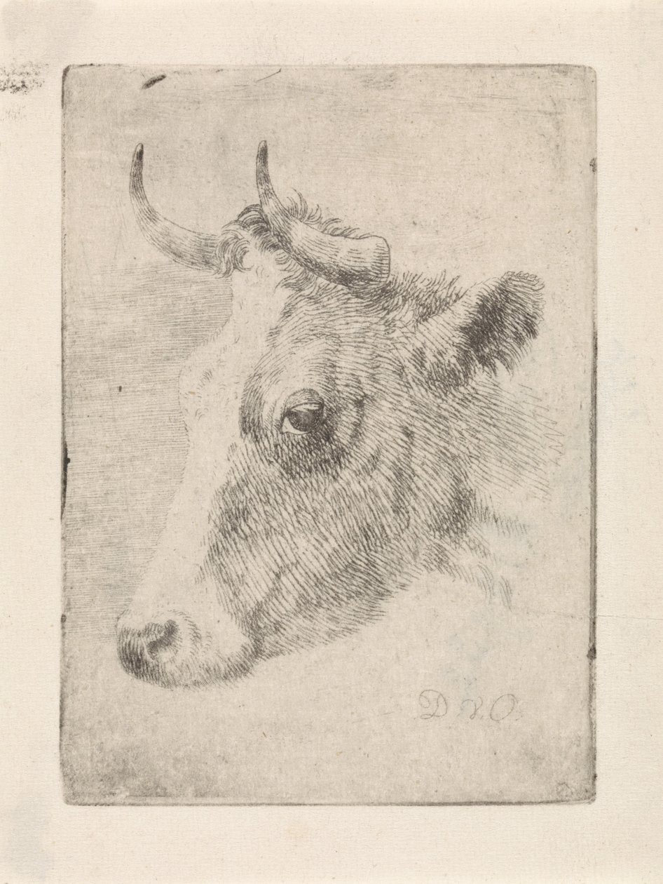 Testa di un toro da Dirk van Oosterhoudt