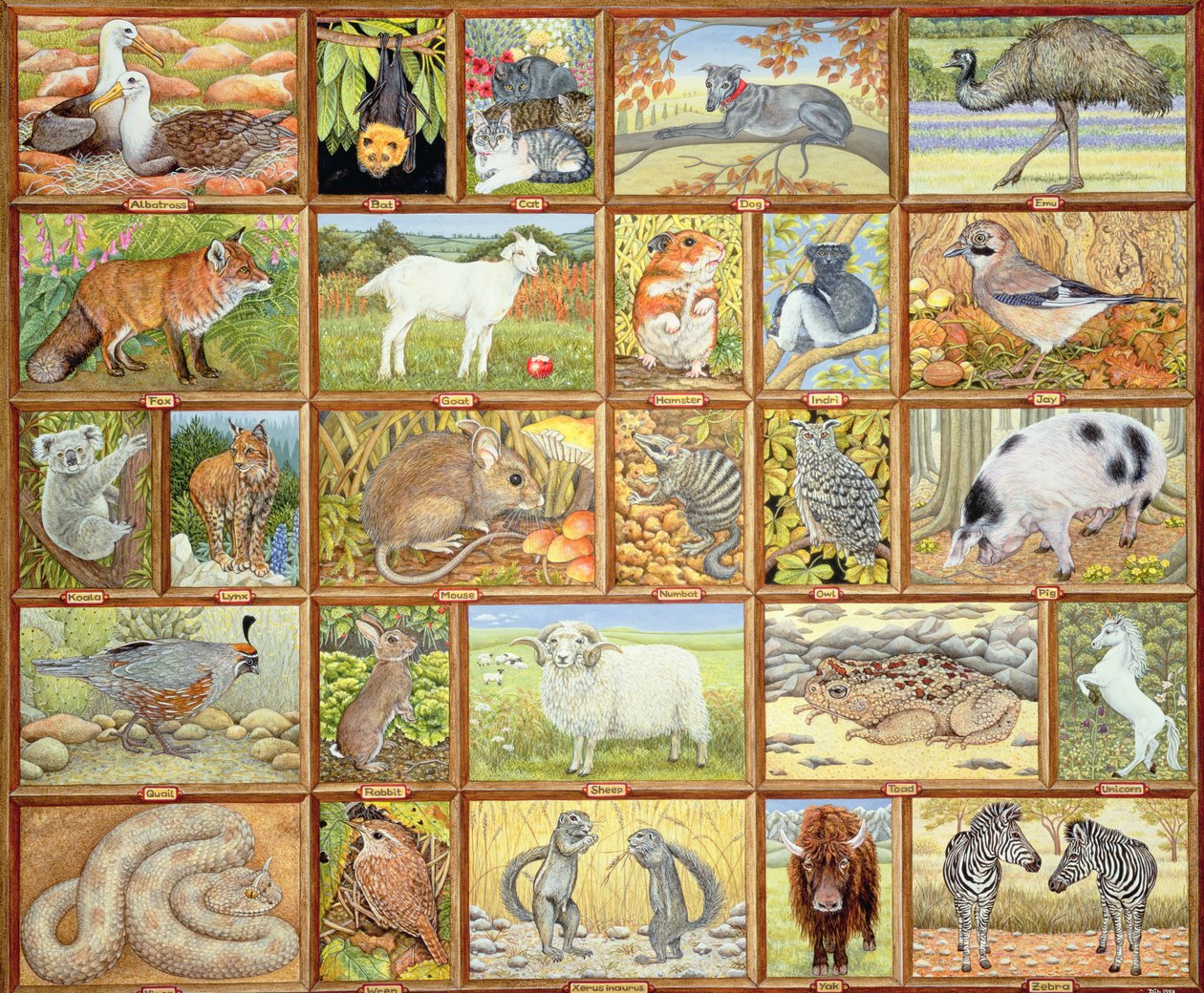 Animali alfabetici da Ditz
