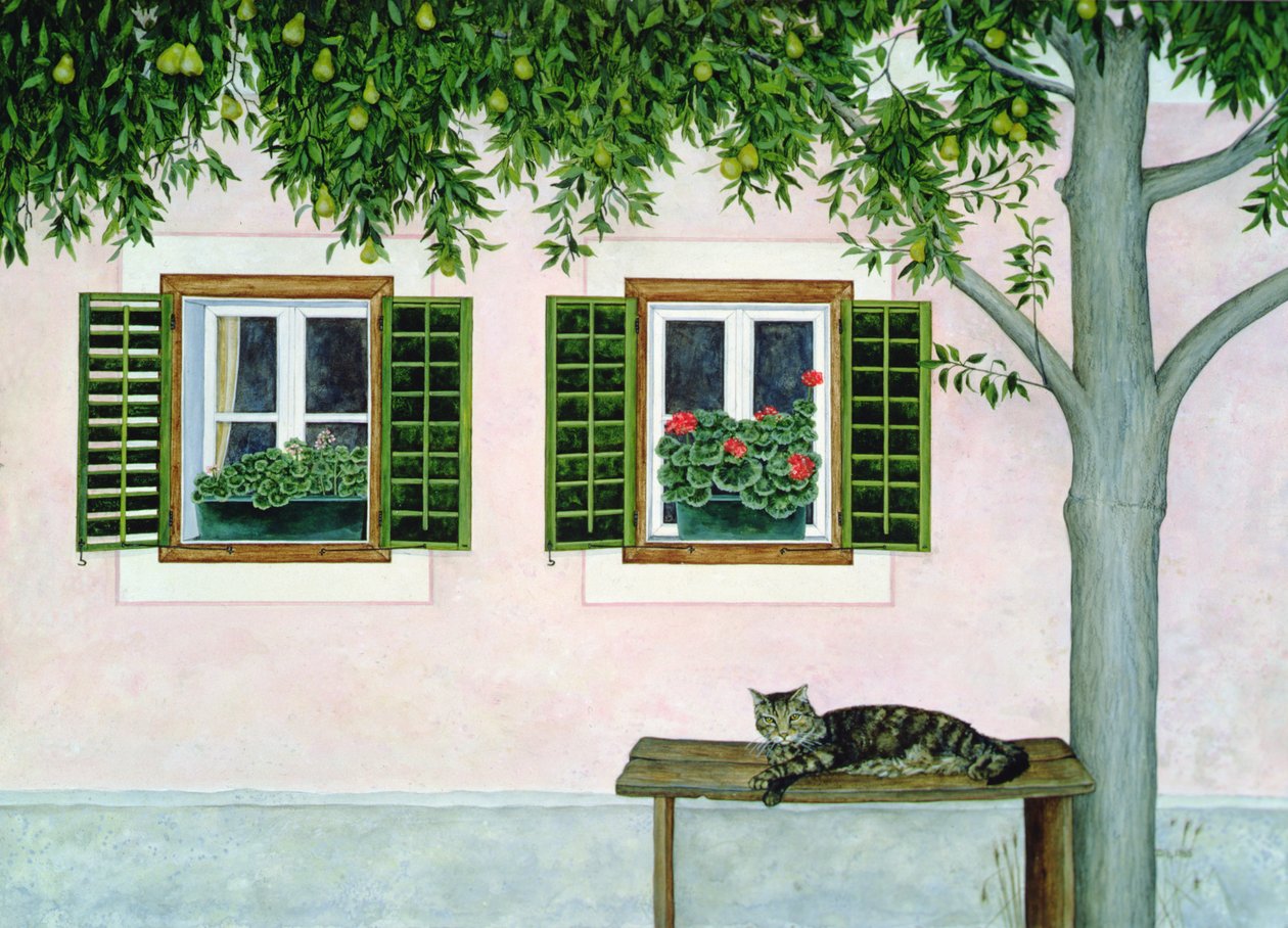 Pere austriache da Ditz Ditz