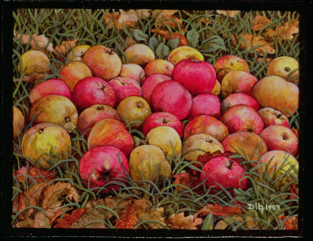 Mele di Durnitzhofer, 1993 da Ditz